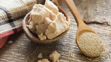 Yeast and Historie